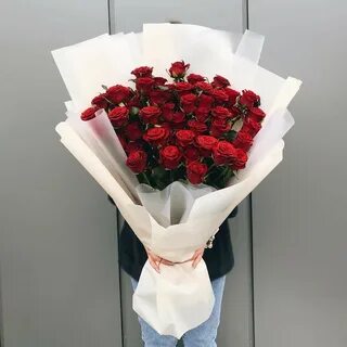 Prestige rose