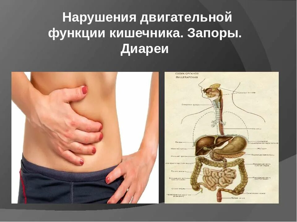 Нарушение работы кишечника. Нарушение работы кишечника. Нарушение секреторной функции поджелудочной железы. Нарушение работы кишечника. Гастроэнтерология.