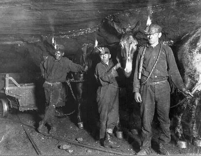 Miners landing