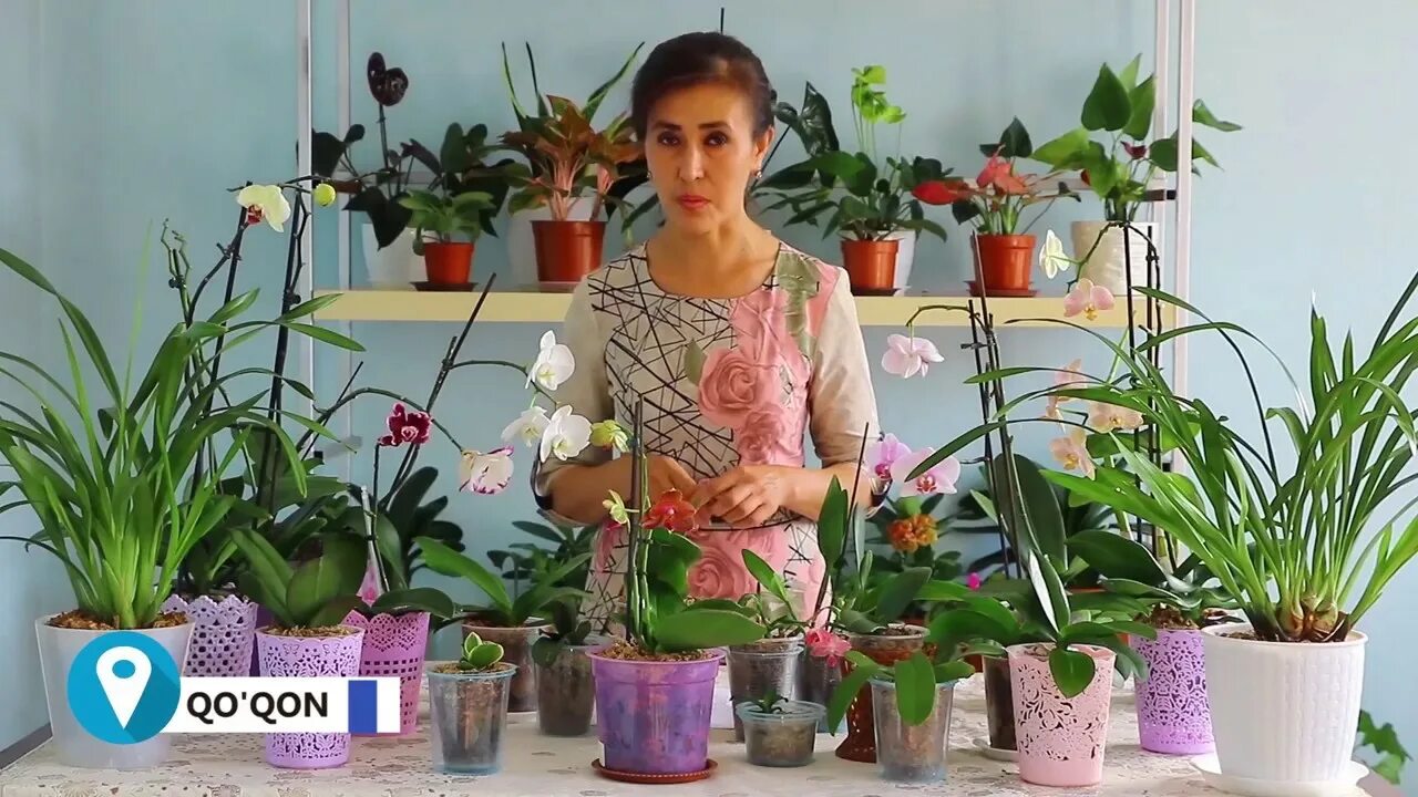 Городские цветы. Цветы картинки. Тг канал цветы. Тг канал цветы. Тг канал цветы.