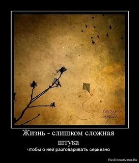 Смысл жизни шутка