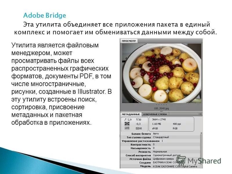 Обособление приложений примеры. Условно бесплатные программы. Редактор презентаций. Приложения общеготназначения. Основные компоненты системы программирования.