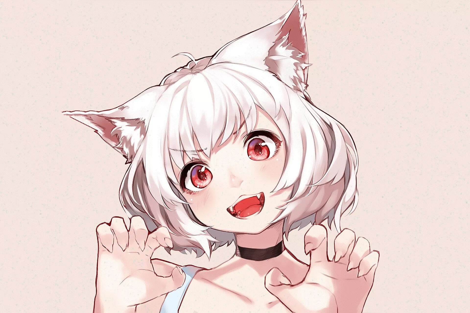 Кошко тянки. Кошко тянки
