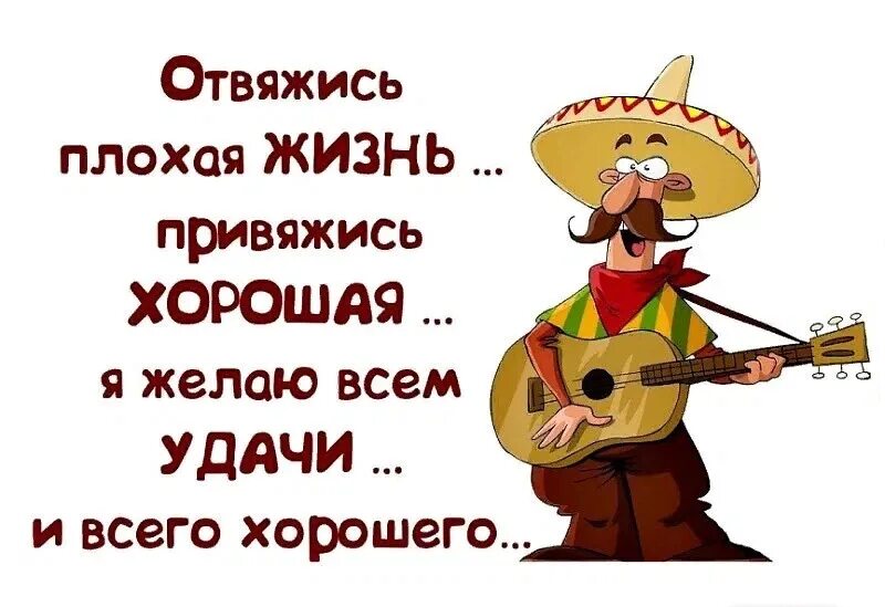 Удачи в личной жизни. Пожелание удачи. Пожелания удачи прикольные. Пожелания удачи в картинках с юмором. Пожелания удачи и успеха прикольные.