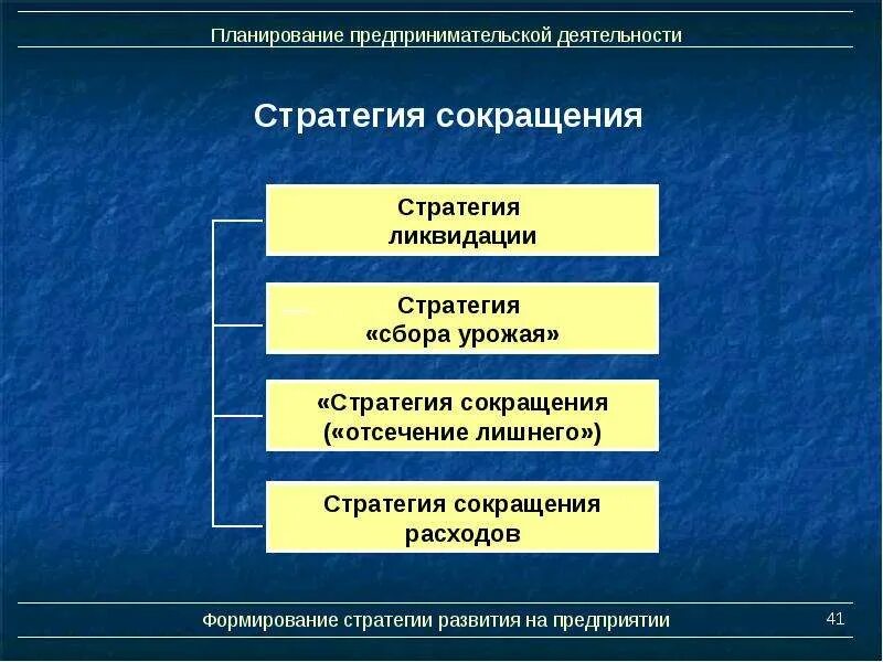 Стратегия развития предпринимательства. Стратегия деятельности. Стратегия предпринимательства. Предпринимательская стратегия. Стратегии функционирования.