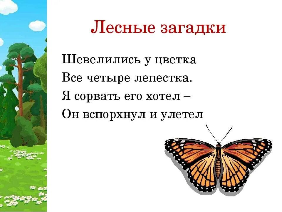 Загадки. Загадка с отгадкой лес. Загадки о лесе для дошкольников. Загадки о жителях леса. Презентация загадками с ответами