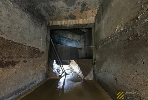 Река таракановка санкт петербург