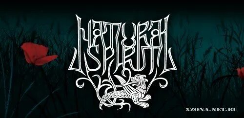 Natural spirit альбом. Folk metal. Natural spirit. Natural spirit группа. Natural spirit альбом.
