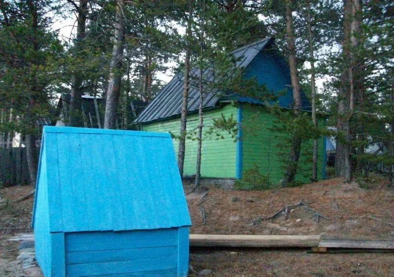 Объявления в онеге. Дачи в онеге. снт онега. онега море дачи. онега белое море дачи.