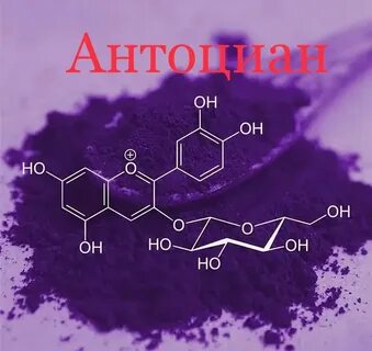 Антоциан пигмент