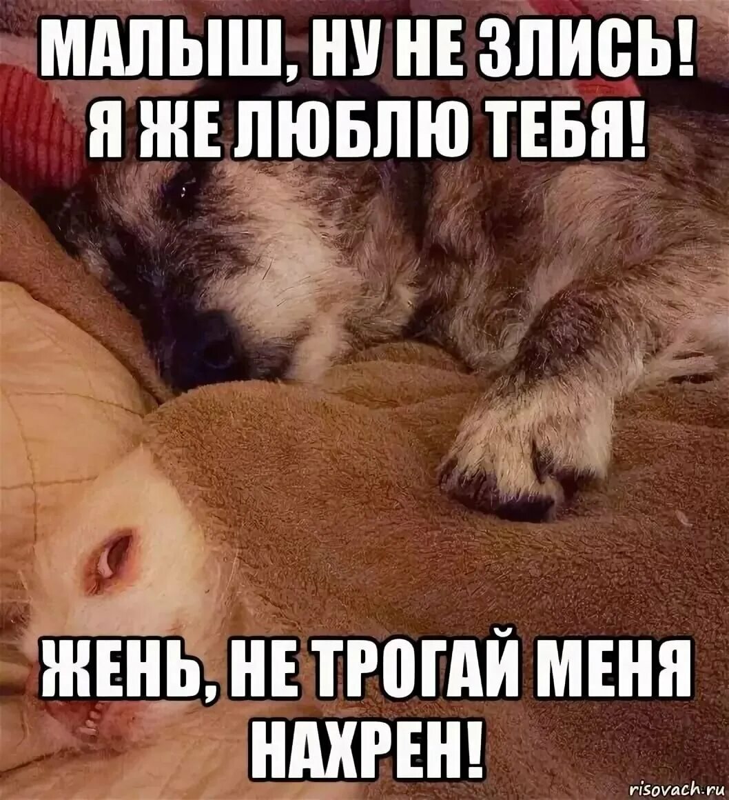 Сама ушла сама злится