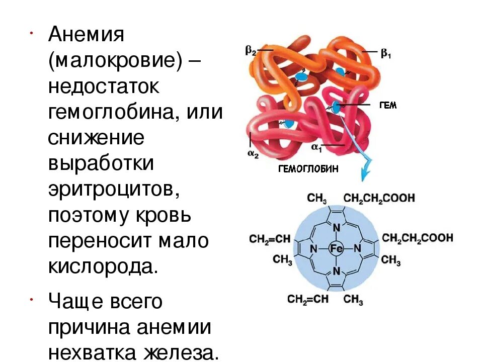 Ионы железа входят в состав гемоглобина крови. Хим структура гемоглобина. Строение гемоглобина формула. Строение гемоглобина структурная формула. Строение гема гемоглобина.