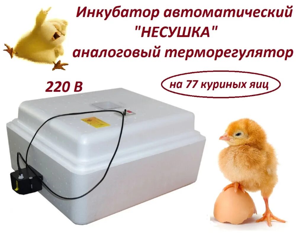 Инкубатор для яиц терморегулятор. Инкубатор для яиц автоматический несушка 77 яиц. инкубатор несушка на 77 яиц аналоговый терморегулятор. инкубатор автоматический умница-192 яиц 220/12в к. инкубатор несушка 77 автомат.