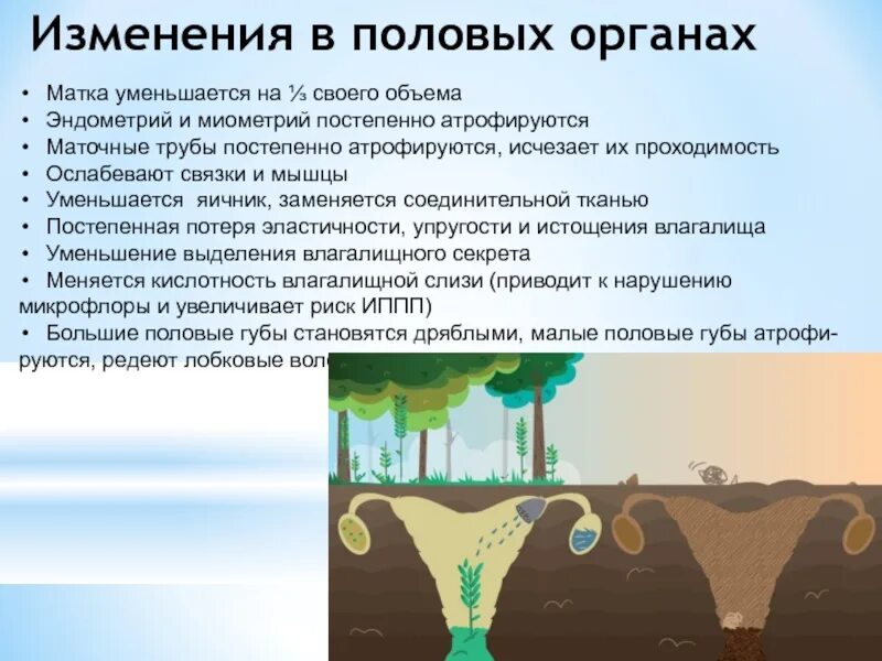 Почему уменьшается