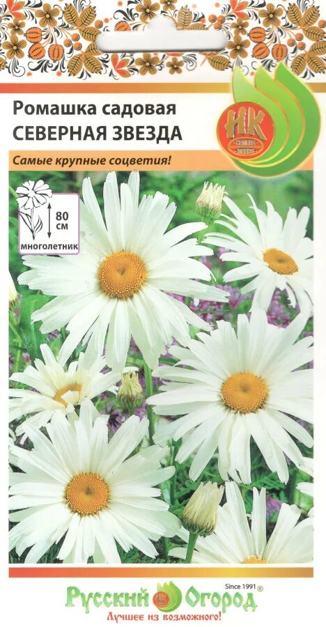 Семена гигантской ромашки. Ромашка (серебряная принцесса) семена. Семена ромашек многолетних. Цветы ромашка садовая северная звезда (0,3г). Ромашка крупноцветковая.