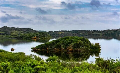 S'Albufera des Grau (Parc Natural de) 030.jpg.