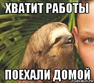 Мил уехал