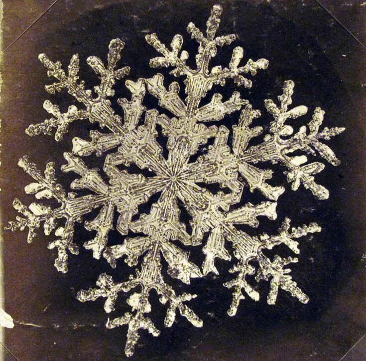 Снежинки. Снежинки в природе. Первая снежинка. Снег снежинки. Коллекция снежинок.
