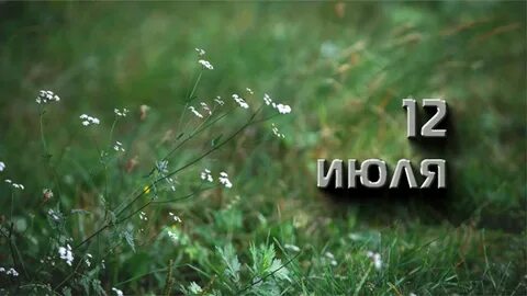 246 июль