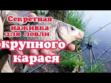 Приманка на карася осенью