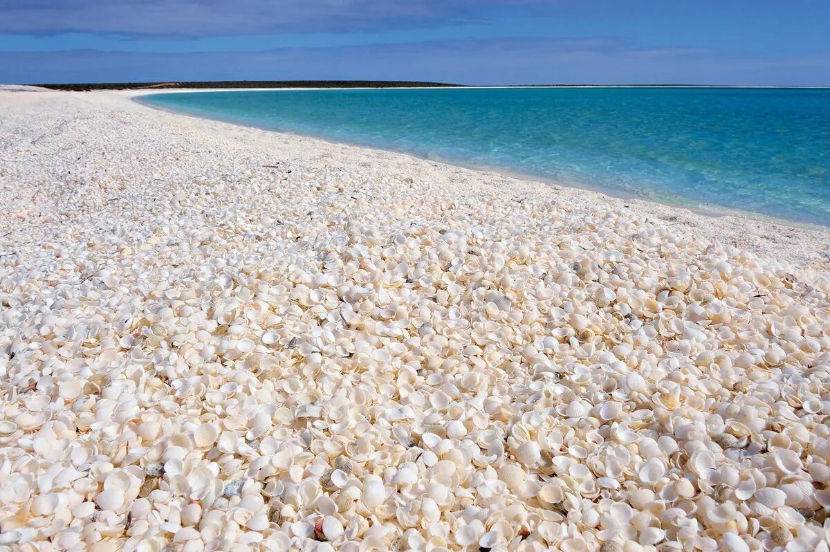 Галечный пляж на черном море. Азовское море белый песок. Песок азовского моря. Шелл бич австралия. Феодосия ракушечный пляж.