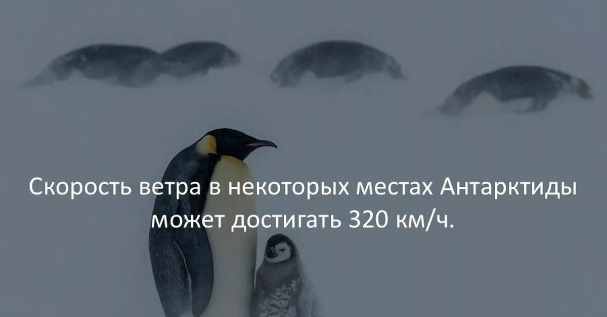 Невероятные факты про. Интересные факты. Интересные и необычные факты. Интересные факты в картинках. Короткие интересные факты.