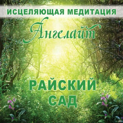 Дневник медитации. Исцеление музыкой. Исцеляющая мелодия. Исцеляющий сад обложка. Музыка для исцеления организма