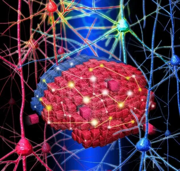Brain building. Нейронная сеть. Наночастицы для мозга. Нейронные связи. Нейросеть клетка.