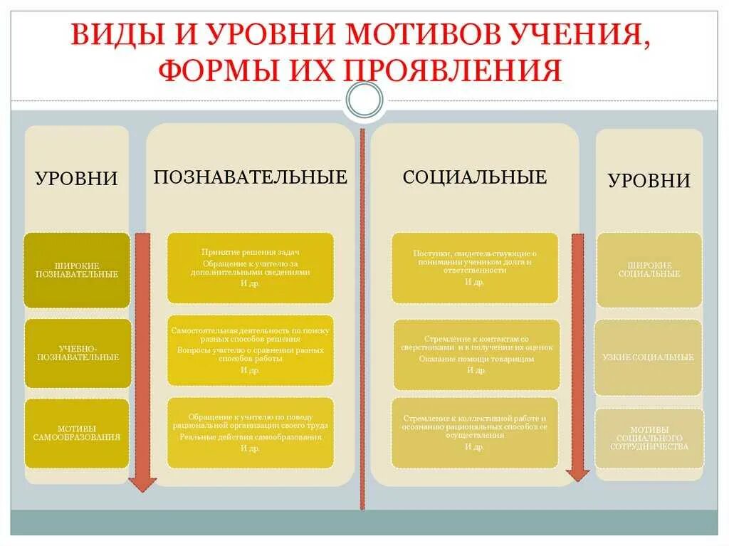 Уровня формирование мотивации. Виды и уровни мотивов учения. формы проявления мотивов учения. формы проявления мотивации. виды учебной мотивации таблица.