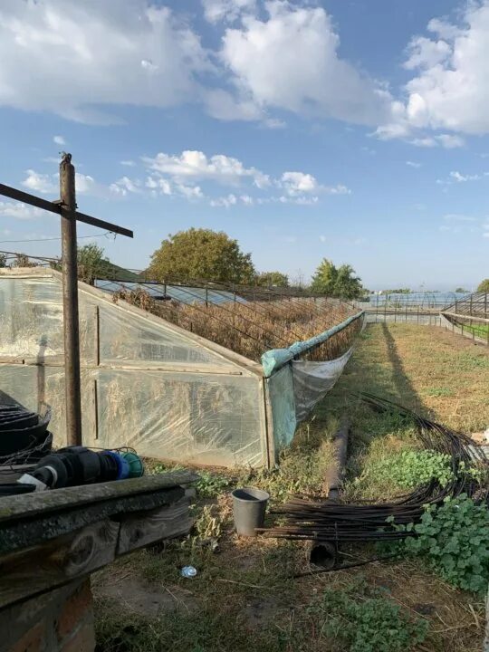 Погода в кривянской на 14. Станица Кривянская. Ст Кривянская Ростовская область. Станица Кривянская Новочеркасск.