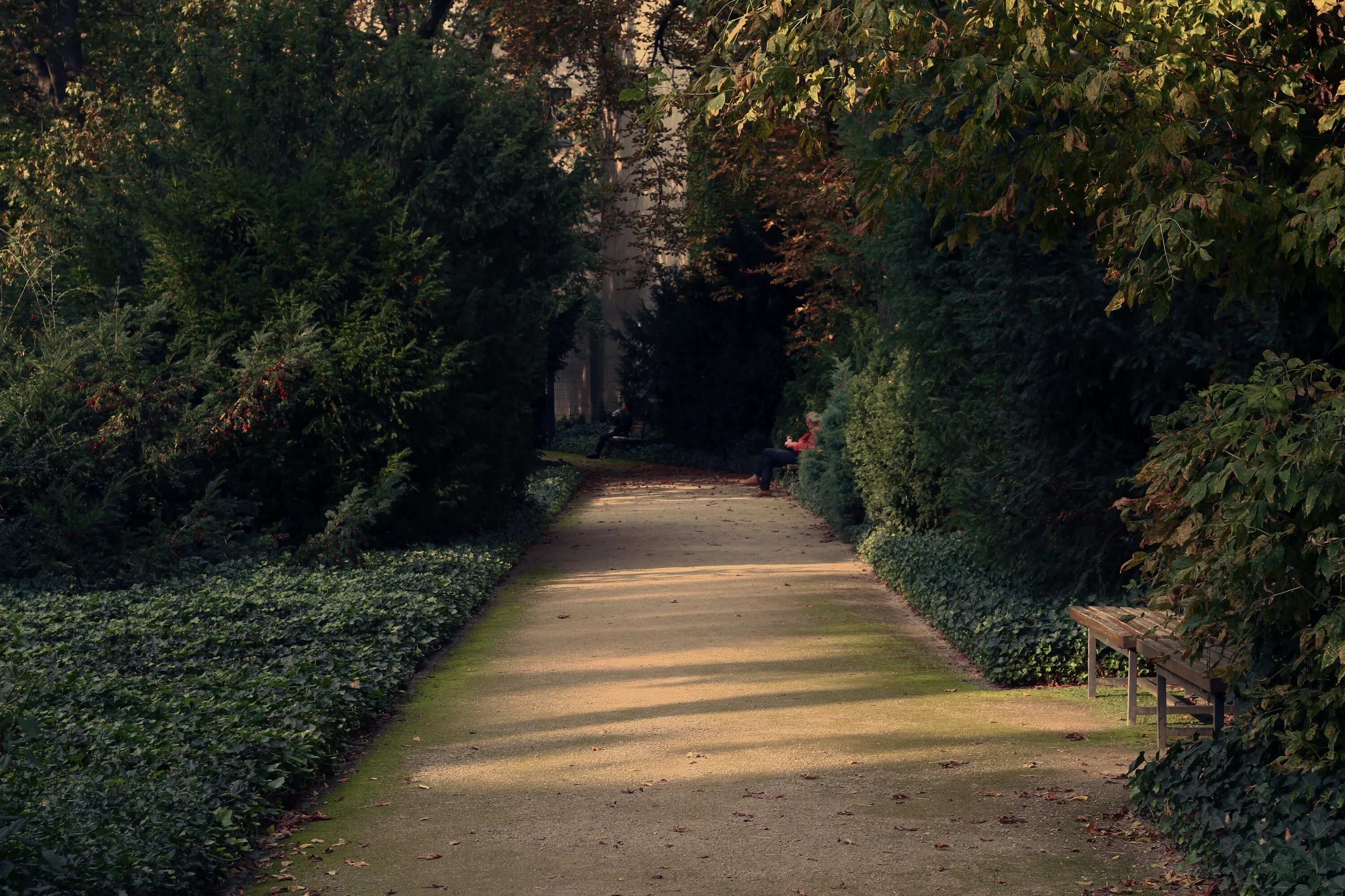 Какое вы место для прогулок. Аллея Берсо в Петергофе. «Дорожка в парке» Сергея Виноградова. Парк Стоун Англия аллея. Тропинка в парке.