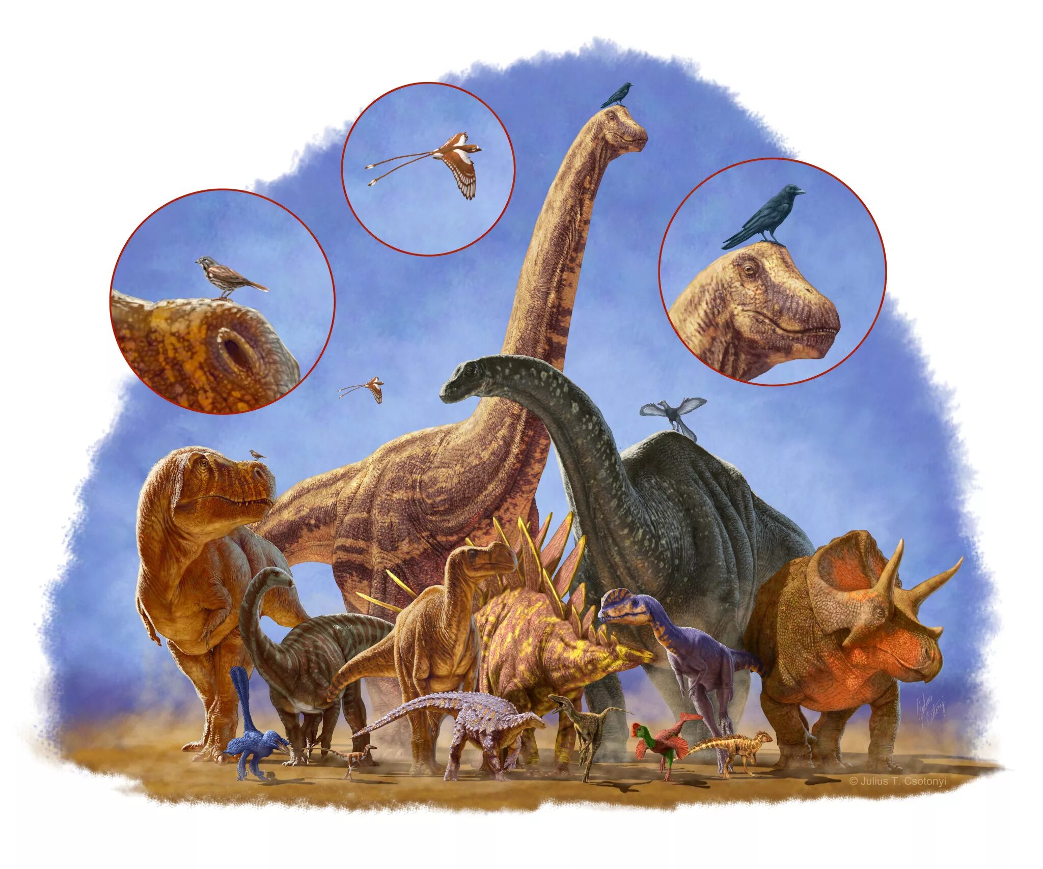 Динозавры развитие. Julius Csotonyi. Динозавры и доисторические животные. Динозавры на земле. Древние животные земли.