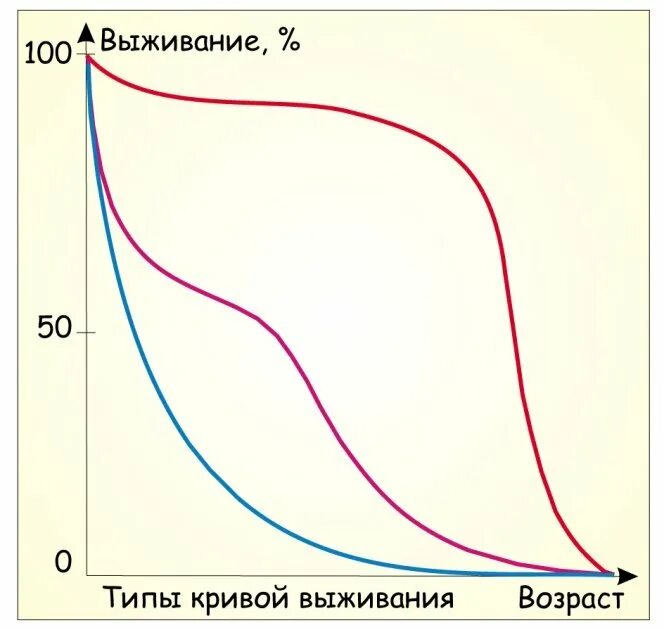 Как выглядит кривая зависимости выживаемости от таких. Типы кривых выживаемости. кривые выживания. кривые выживаемости популяций. тип кривой выживания.