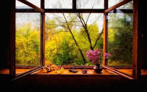Осенний пейзаж вид из окна