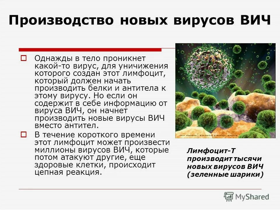 Вирус парагриппа микрофотография. Корновии. Вирус последних лет. Вирус ковид. Covid-19.