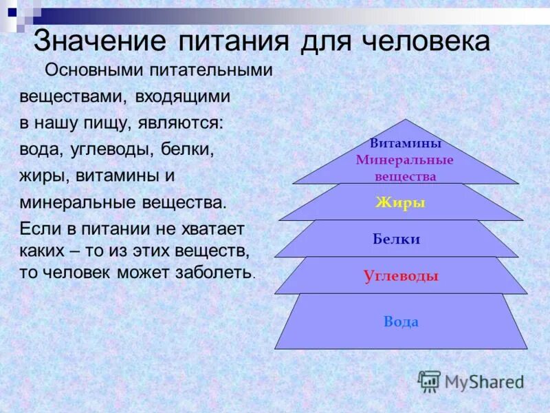 Сообщение значение питания. Значение питания в жизни человека. Каково значение питания в жизни человека?. Значение пищи для организма человека. Роль питания в ини человека.