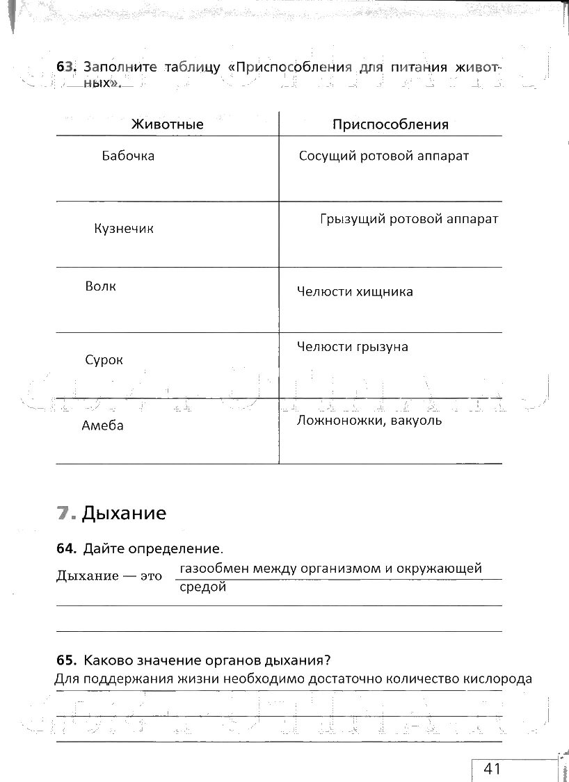 Дыхание растений 6 класс биология рабочая тетрадь. Приспособления для питания животных таблица. Приспособления для питания животных таблица 6 класс. Приспособления для питания животных биология 6 класс таблица. Приспособления для питания животных таблица 6.