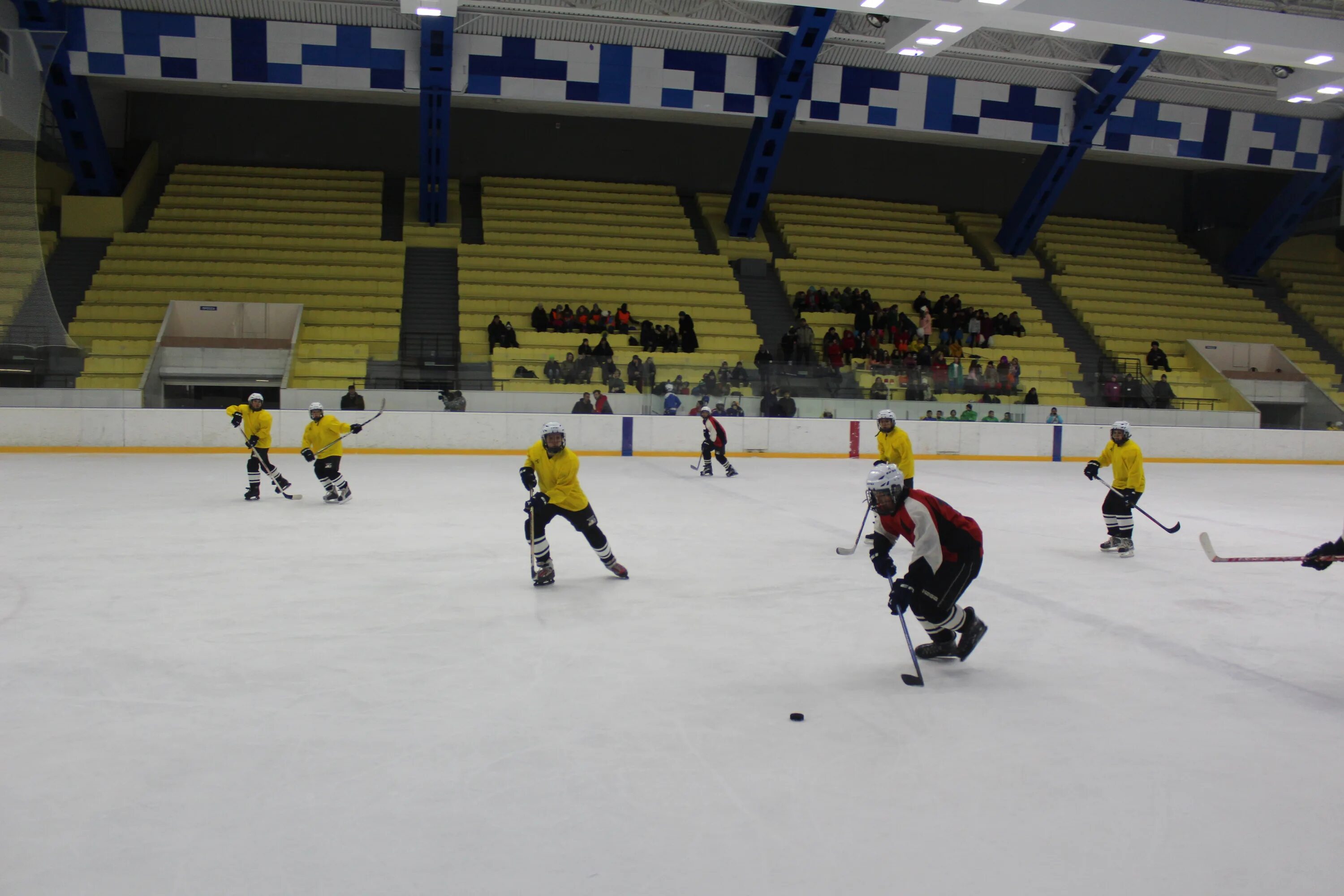 турнир пешкова липецк. звездный хоккей липецк. звёздный липецк 2023. звездный хоккей липецк. звездный хоккей липецк.