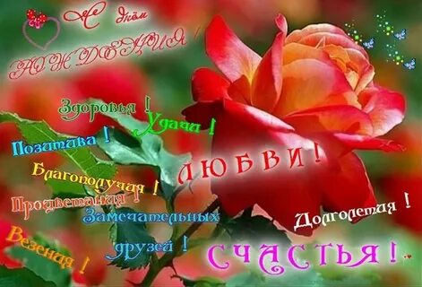 Дорогая света