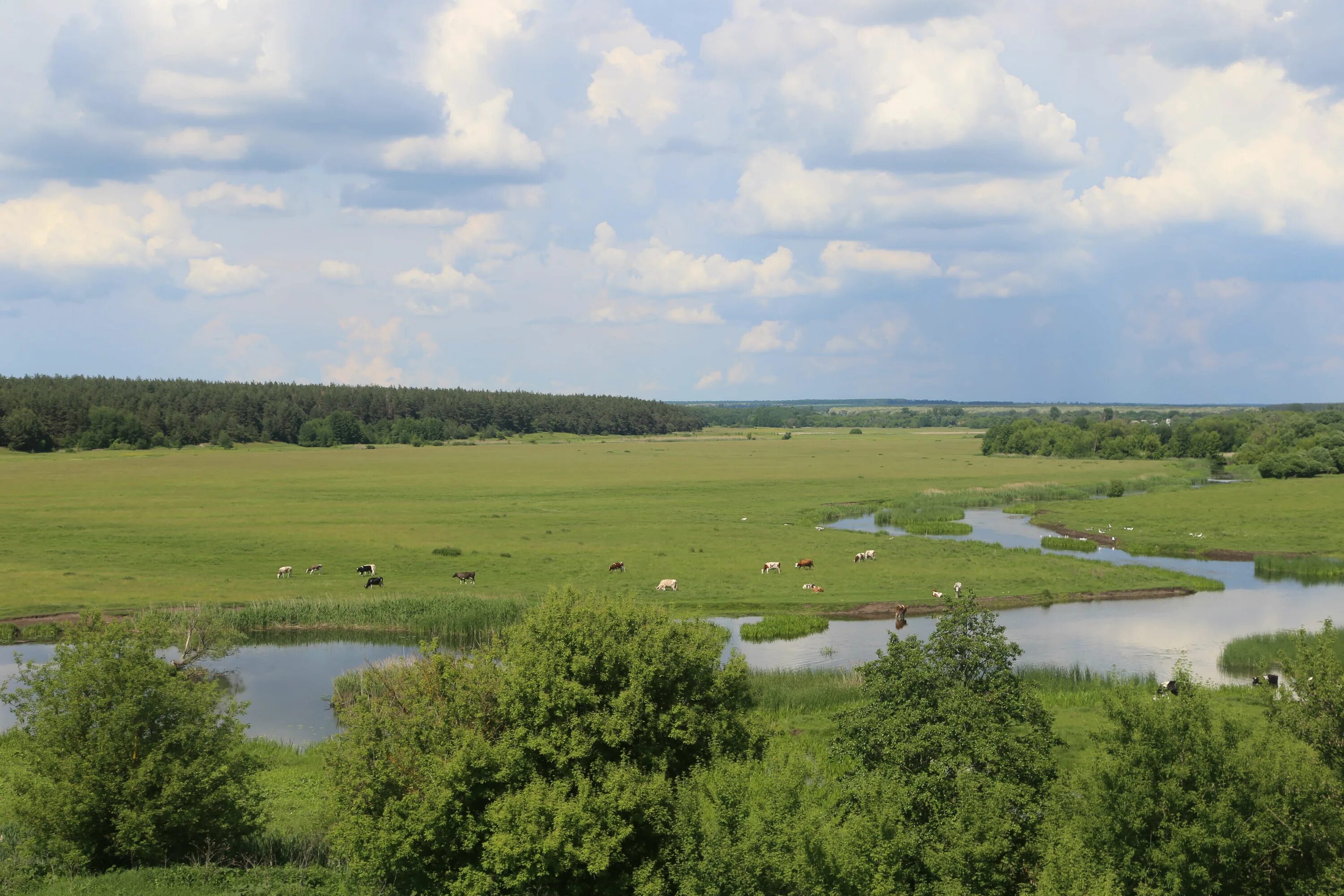 Михайловский храм ивнянский район белгородской области. Песчаное белгородская область ивнянский район. Погода песчаное ивнянский. Храм архангела михаила ивнянский район белгородской области. Село песчаное белгородская область ивнянский район.