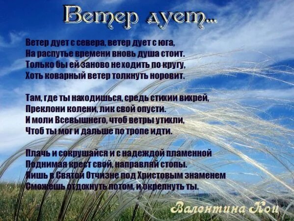 Ветер дует на дерево. Почему дует ветер. Ветер задувал. Стихотворение дуют ветры в феврале воют. Как называется ветер который дует с северо запада.