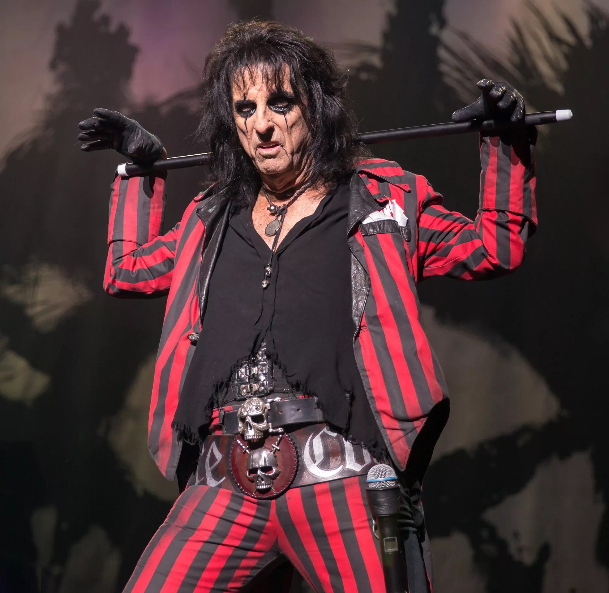 Рок певец с эпатажным. Элис купер. элис купер рокер. элис купер 2025. alice cooper музыканты.