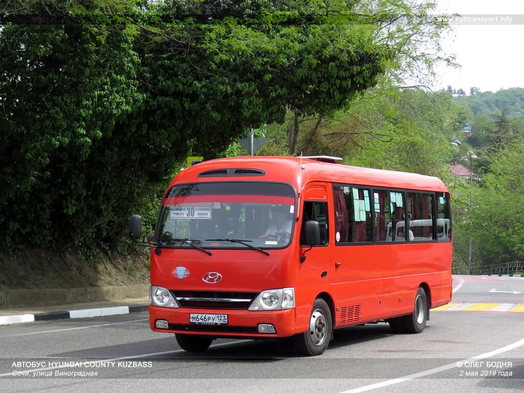 17 автобус сочи