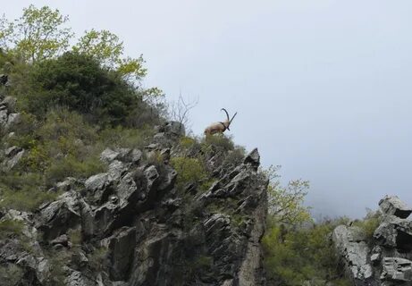 День единого текста аргунский заповедник