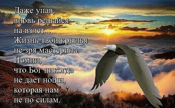 Я упаду не дай мне упасть
