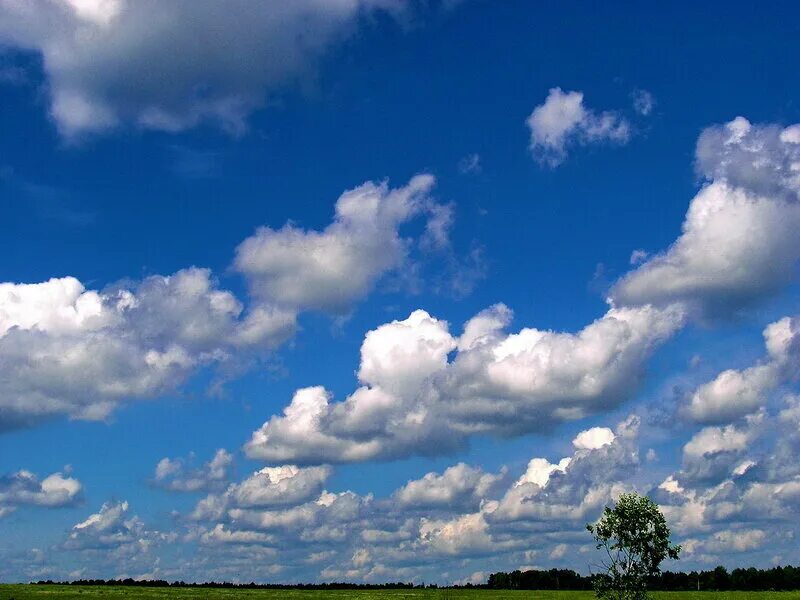 Музыка посмотри как плывут облака. Майское небо. Небо в мае. Облака плывут. Облака плывут высоко.