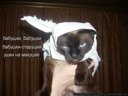 Бабушки бабушки ушки на макушке текст