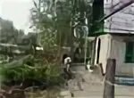 Дача автомобилистов