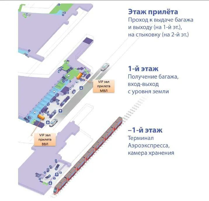 Аэропорт внуково зона вылета. Схема аэропорта Внуково зона прилета. Аэропорт Внуково терминал а схема. Схема Внуково аэропорт терминал а зона прилета. Аэропорт Внуково терминал прилета международных рейсов.