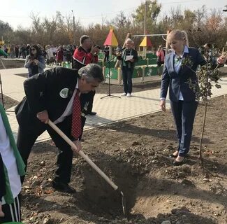 Погода на неделю целина ростовская область